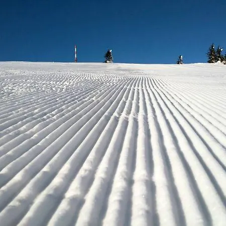 Διαμέρισμα Perla *